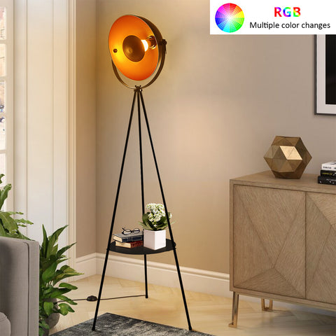 LED Tripod Metal Floor Lamp with RGB Multiple Colors Remote Control