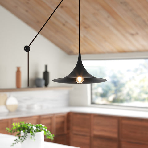 Industrial Black Rustic Pendant Light - Metal Chandelier